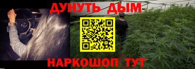 кокс Донской