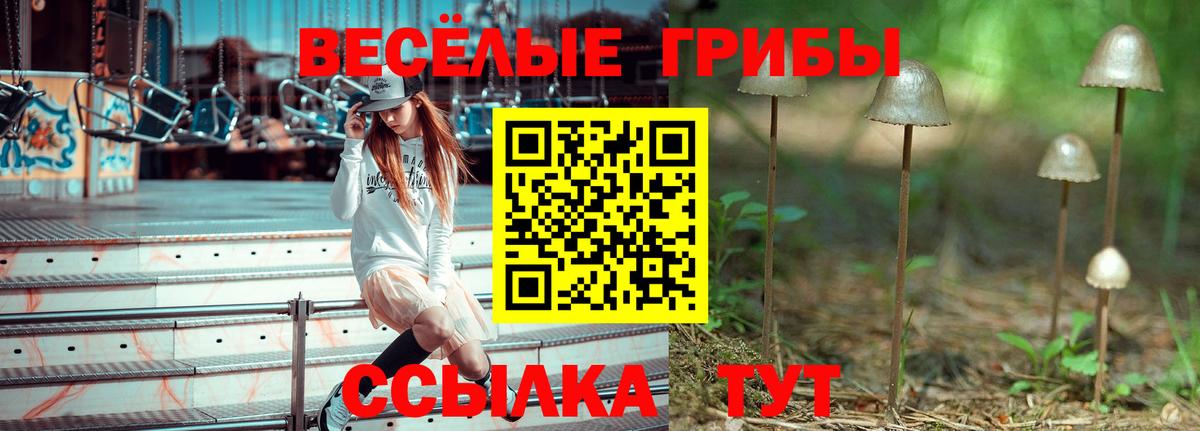 Старая Купавна  Псилоцибиновые грибы Magic Shrooms  Галлюциногенные грибы прущие грибы  где купить наркоту  Вход с VPN 
